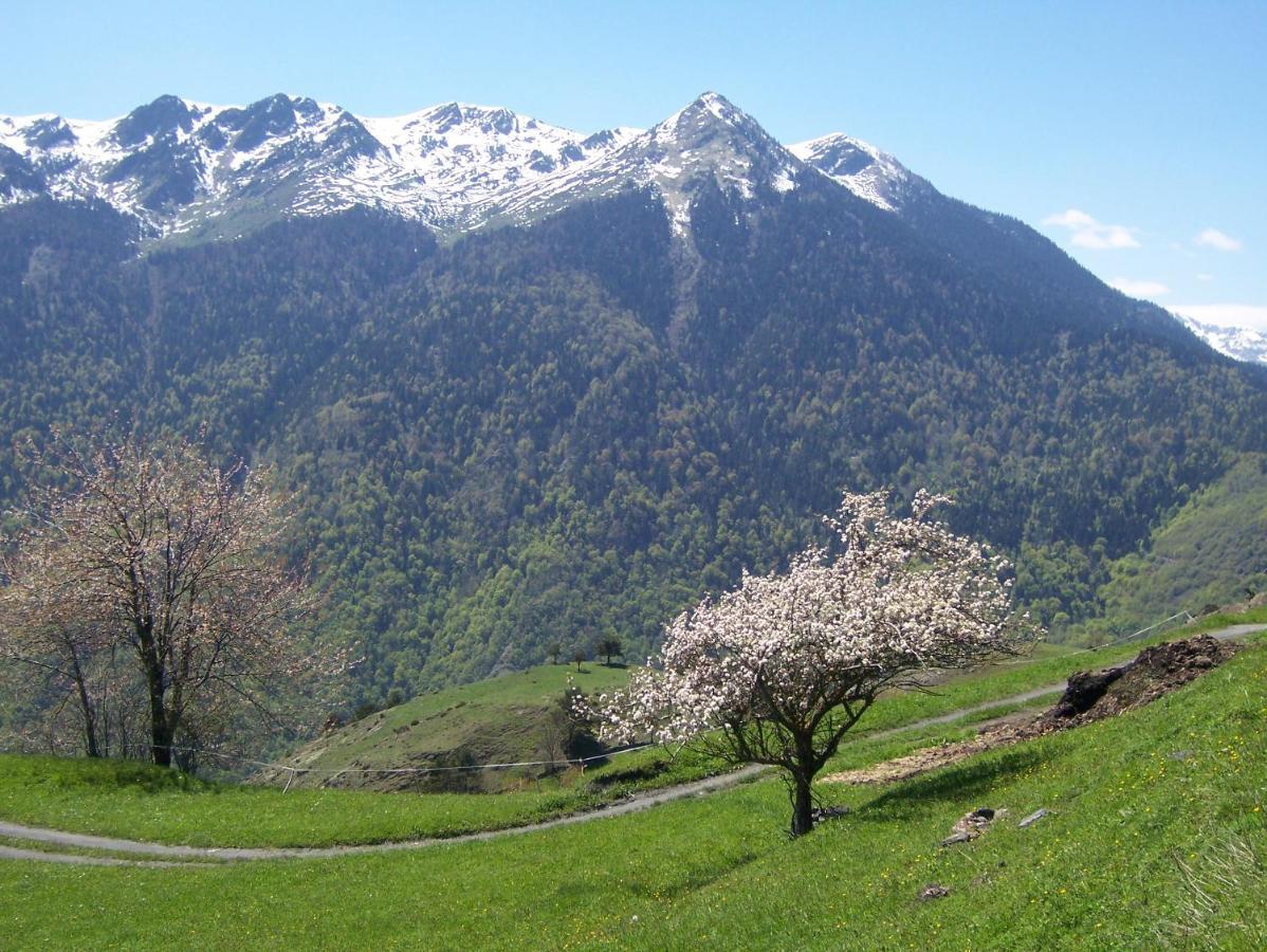 Tuc Blanc Hotell Baqueira Beret Eksteriør bilde